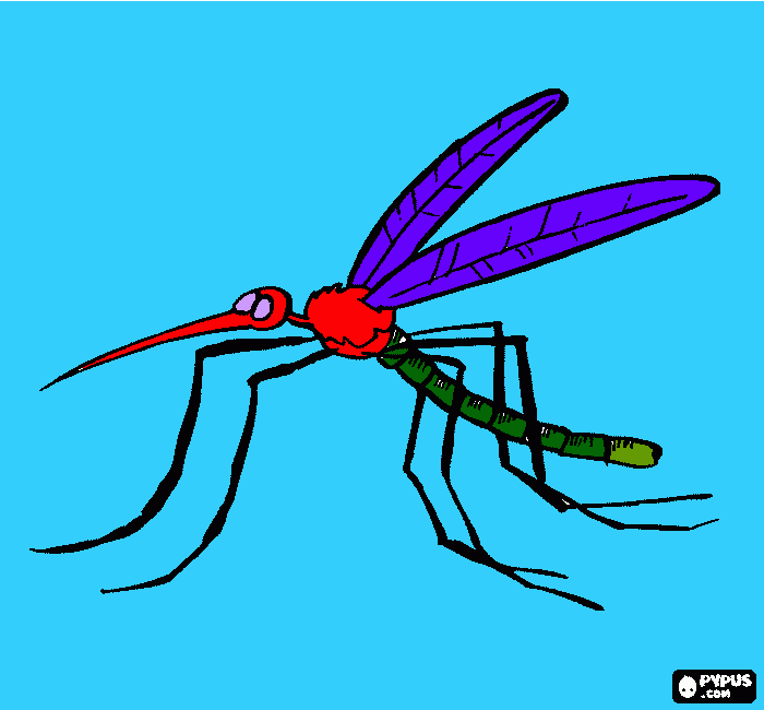 раскраска komar