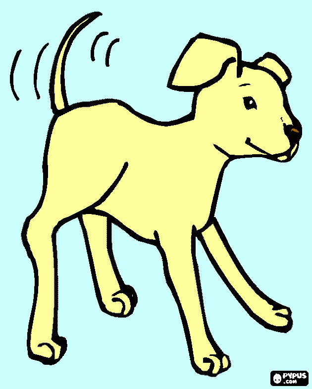 раскраска Dog