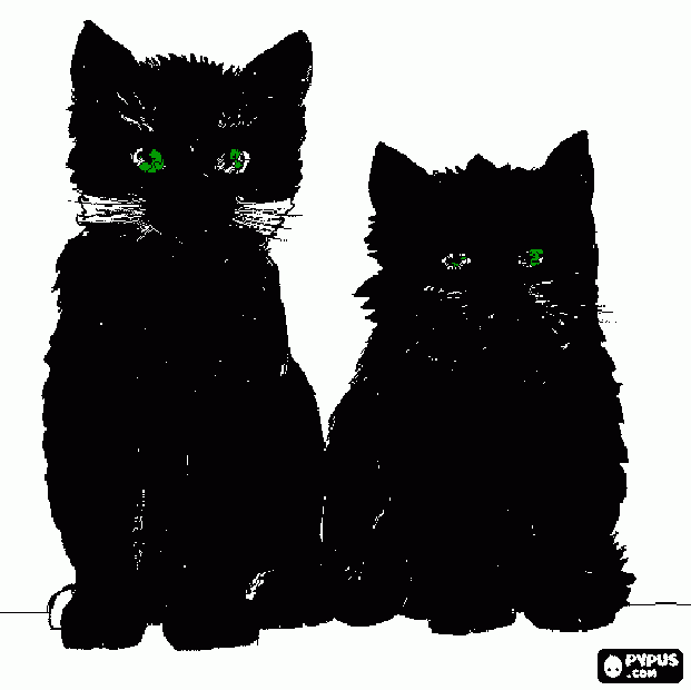 раскраска kat