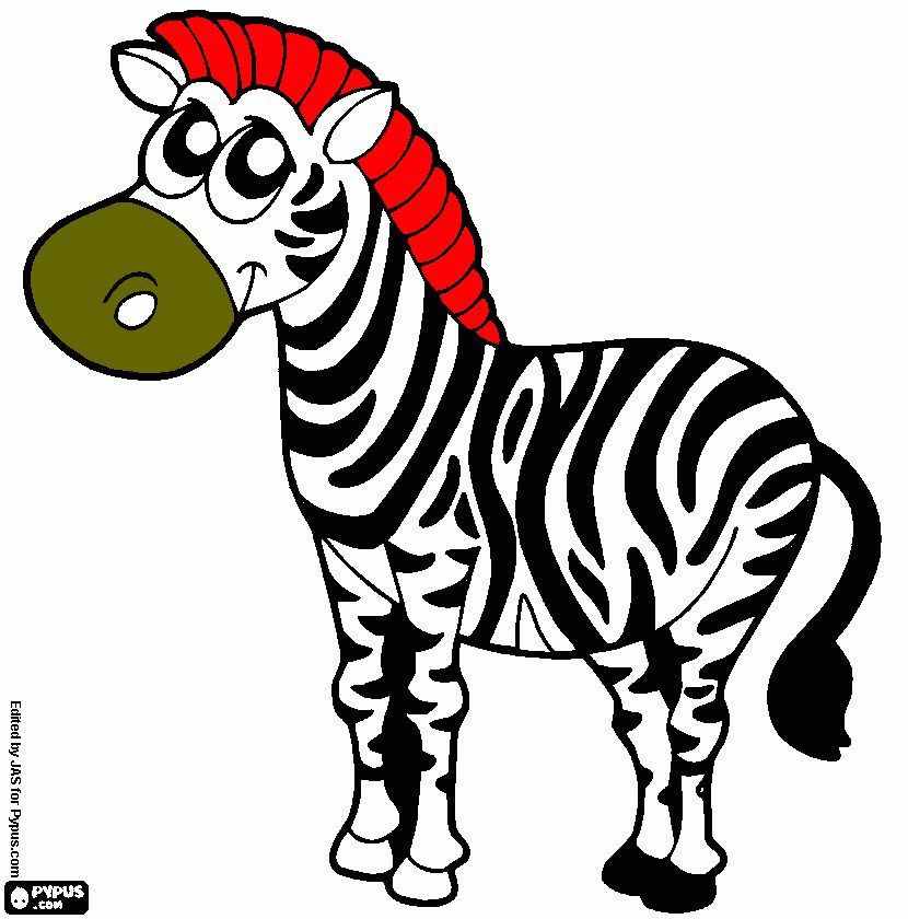 раскраска Zebra
