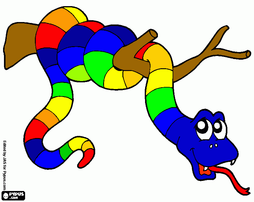 раскраска Змея разноцветная