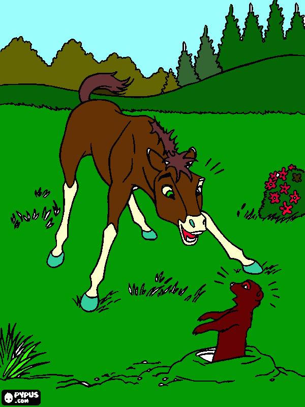 раскраска коняшка