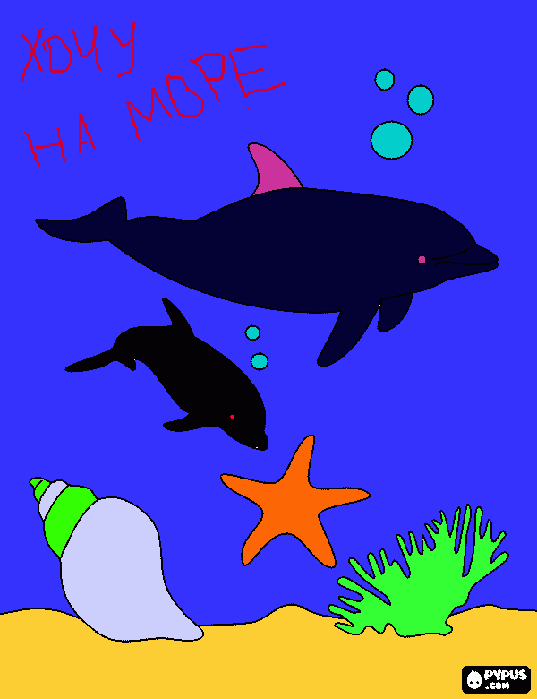 раскраска море