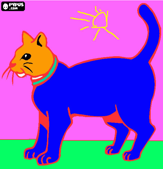 раскраска раскраска кота