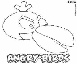 раскраска Green Bird, птица Angry Birds