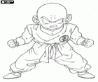 Krillin является первым противником Son Goku подготовки с Мастером Рощи и становится его лучшим другом