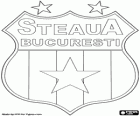 Щит Стяуа Бухарест, Fotbal Club Steaua București, румынский футбольный клуб