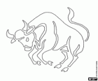 Телец. Быка. Второй знак зодиака. Латинское название Taurus