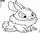 Cybunny, красивые кролика из Neopets