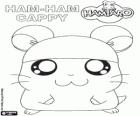 Cappy, молодой Ham-Ham, кто любит шляпы с цоколем плавание