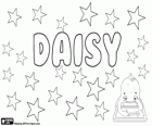 Daisy, Дейзи, его происхождение это имя на английском языке цветка, Дэйзи