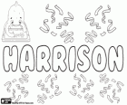 Harrisson, имя английского происхождения. Его значение сын Гарри