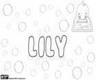 Lily, имя английского происхождения, происходит от названия цветка лилии