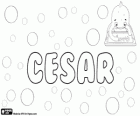 Cesar, Сезар, имя латинского происхождения. Происходит от латинского Ник Caesar