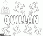 Quillan, имя гэльского происхождения. Вариант Quillen