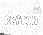 Peyton, Пейтон, имя английского происхождения. Пейтон, вариант Пейтон