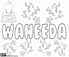 Waheeda, имя арабского происхождения. Waheeda, имя для девочки