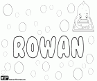 Rowan, Роуэн, ирландским и английским именем. Роуэн, имя для мальчика, который используется также для девушки