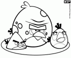 Большая красная птица с другими двумя разгневанных птиц, Angry Birds