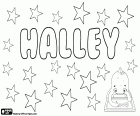 Halley, Галлея, имя для девочки и мальчика. Halley, имя с различного происхождения. Halley, вариант Hallie и Harriet. Halley также английский фамилия
