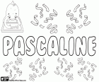 Pascaline, французский имя для девочек. Pascaline, вариант Паскаль, Женская форма Паскаль. Все они являются имена, производным от латинского Пасхалис, что означает Песах, связанные с Пасхи