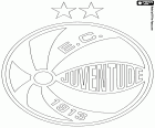 Логотип Жувентуде, Esporte Clube Juventude, футбольный клуб Кашиас-ду-Сул, город государства Рио-Гранде-ду-Сул, на юге Бразилии