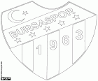 Знак Бурса Spor Kulübü, Бурсаспор, Bursaspor Kulübü, футбольный клуб со штаб-квартирой в городе Бурса, город на северо-западе Анатолии и столица провинции с тем же именем
