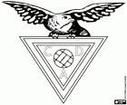 Знак Авеш, Clube Desportivo das Aves, футбольный клуб в Вила-даз-Авиш, город в северной части Португалии, в Санту-Тирсу, в районе Порто