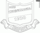 Щит Хойничанка Хойнице, Miejski Klub Sportowy Chojniczanka Chojnice, спортивный клуб, базирующийся в Хойнице, город в северной части Польши, столица одноименного округа в Поморское воеводство