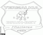 Эмблема Термалика Нецеча, Bruk-Bet Termalica Nieciecza Klub Sportowy, футбольный клуб базируется в Недзица, деревня на юго-востоке Польши в Малопольское воеводство, расположенный примерно в 60 км к востоку от Кракова