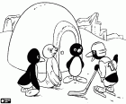Pingu пингвина и его друзьями и́глу