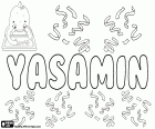 Yasamin, женское имя персидского происхождения, вариант Yasamen и Yasamine, среди других. Происхождение и смысл этого названия — цветок жасмина