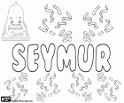 Seymur, имя для ребенка, популярный в Азербайджане. Seymur имеет большое сходство с имя и фамилия Английский Seymour, Сеймур