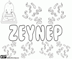 Zeynep, Зейнеп, женское имя используется в Турции, происходит от имени арабского происхождения Zaynab, Зайнаб
