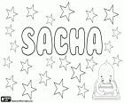 Sacha, унисекс название на разных языках, вариант Sasha, Sascha, Sasja и Saša, Саша, уменьшительно-ласкательных форм российского происхождения Александр и Александра