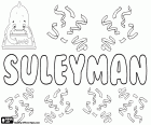 Suleyman, Сулейман, турецкое имя для мальчика, вариант Sulejman, Sulayman, Sulaiman и Suleiman, производным от имени еврейского происхождения Shelomoh, Соломон, его смысл мирного