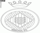 Эмблема Жирона ФК, Girona FC. Футбольный клуб, основанный в 1930 году в городе Херона. На 2017-2018 сезон будет играть в первый раз в своей истории в испанском первом дивизионе, La Liga, получив второе место в Liga 123 сезона 2016-2017