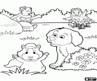 Три богатыря Wonder Pets играют в саду с собакой
