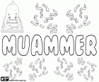Muammer, Муаммер, турецкое имя для мальчика, вариант Muamer, Муамер, и Muammar, Муамар, имя арабского происхождения, означает иметь долгую жизнь