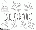 Muhsin, Мухсин, мужское имя на арабском и турецком языках, вариант Muhsen,  Mohsen и Mohsin, его значение благотворно