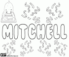 Mitchell, Митчелл и его вариант Митчелл, Mitchel, мужское имя в английском, шотландском и ирландском языках, имеют разное этимологическое происхождение, все они происходят от имен Майкл или Мишель
