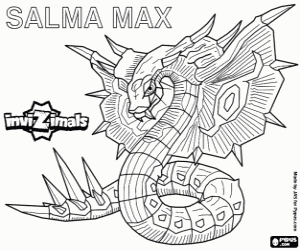 раскраска Salma Max, Invizimals