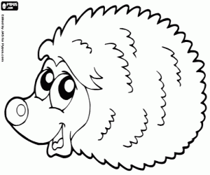 раскраска Ёж