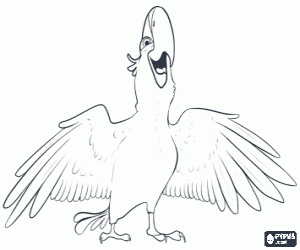 раскраска Ара Blu фильма Рио