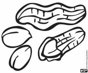 раскраска Арахис в скорлупе и очищенные арахис