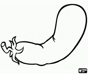 раскраска Баклажаны, съедобные плоды