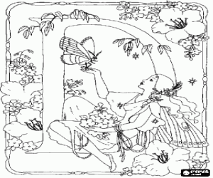 раскраска Буква D в саду фея