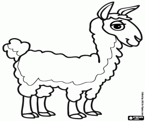 раскраска Викунья из Анд