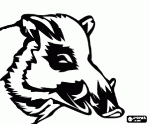 раскраска Голова кабана с бивни