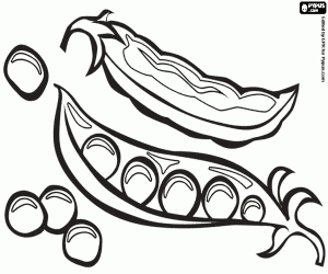 раскраска Горох и гороха стручки